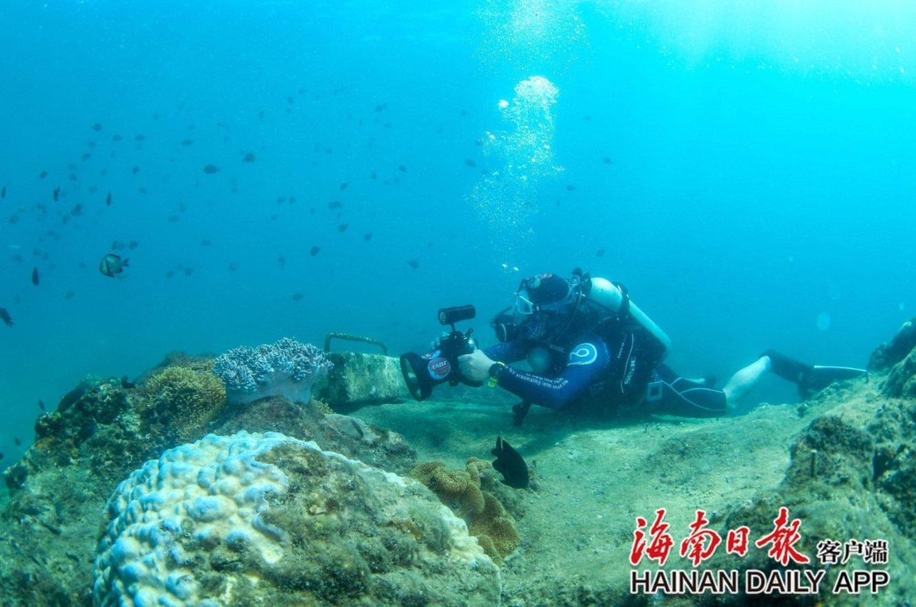 hahabet官网亮点